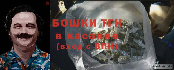 хмурый Верея