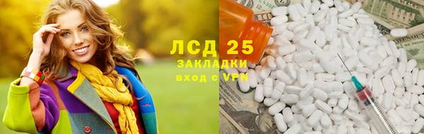 хмурый Верея