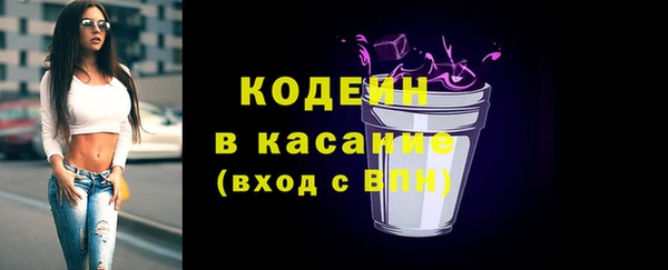 хмурый Верея