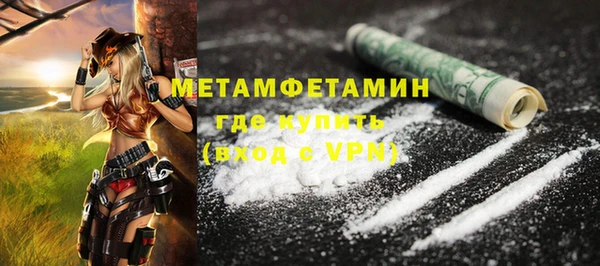 хмурый Верея