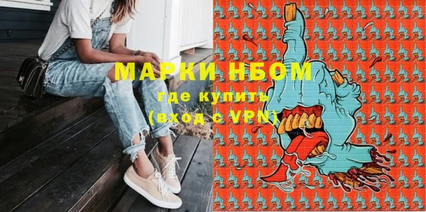 хмурый Верея