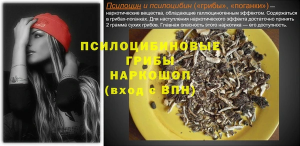 МДПВ Верхний Тагил