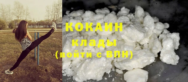 шишки Володарск
