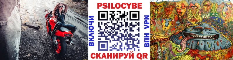 Галлюциногенные грибы мицелий  Цоци-Юрт 